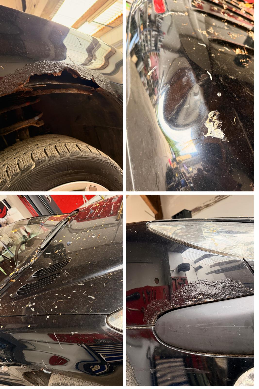 Peugeot 206 CC nach professioneller Cabrio- und Fahrzeugaufbereitung