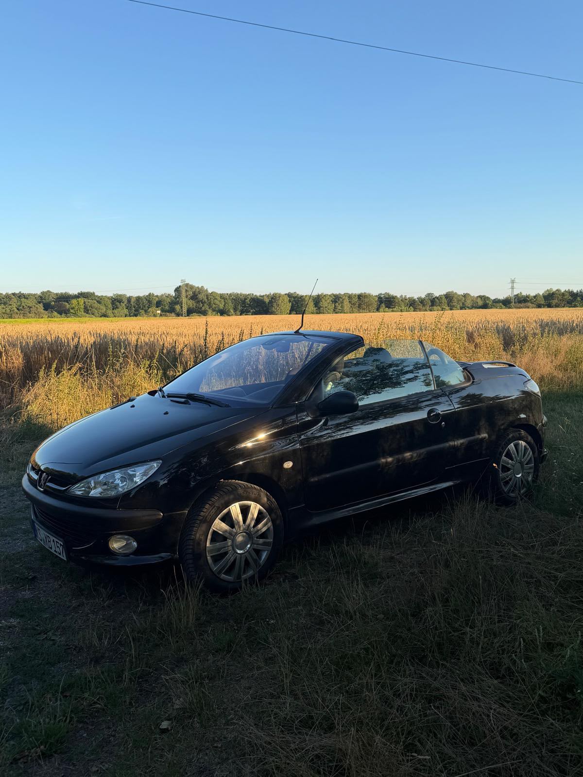 Peugeot 206 CC nach professioneller Cabrio- und Fahrzeugaufbereitung